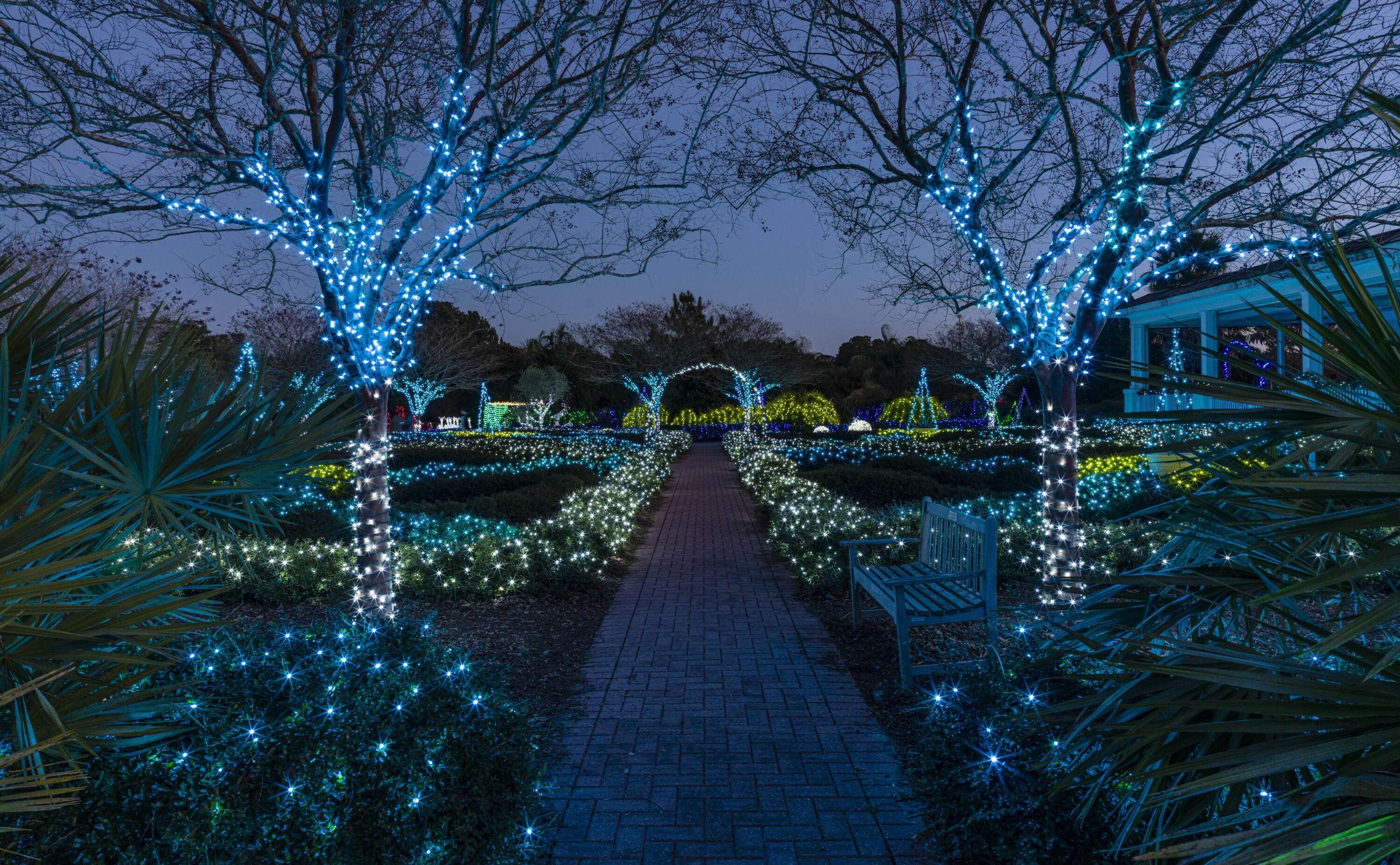 Blue, green, and white holiday lights decorate trees and shrubs along a pathway with a pavilion and bench.