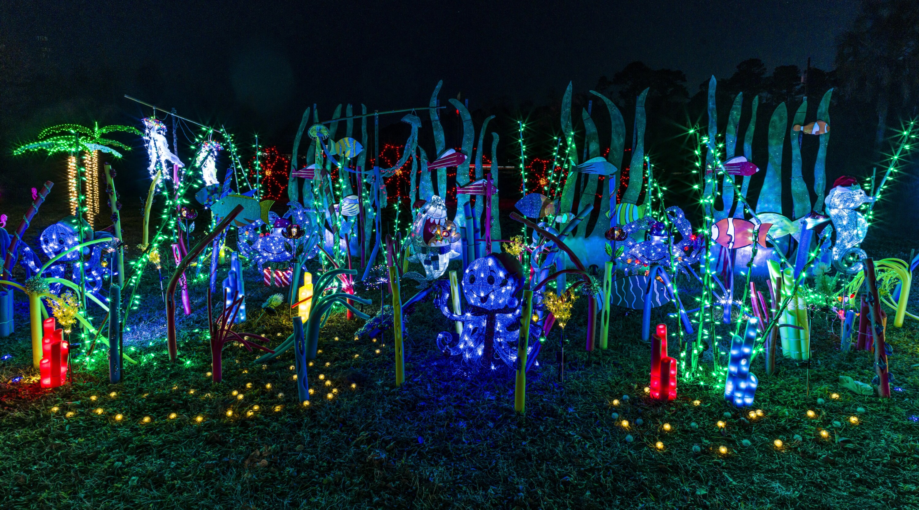 An underwater scene made from holiday lights glows brightly with sea creatures, kelp, and coral.