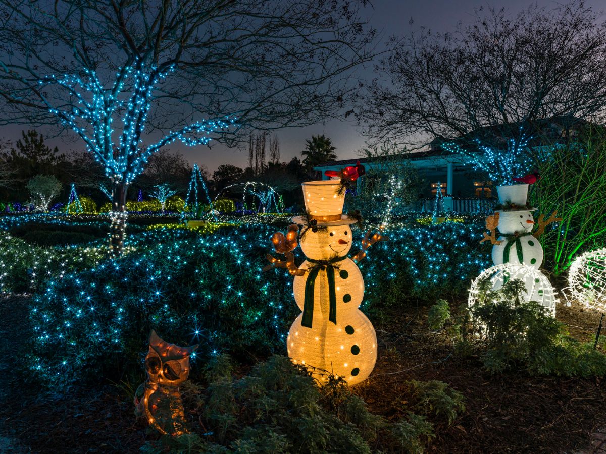 Many colorful holiday lights adorn trees and shrubs at the Coastal Botanical Garden. Two lighted snowmen and a lighted owl stand in the foreground.